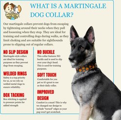 Country Brook Petz HossFit Jr Graveyard Wide Martingale Dog Collar, X-Large slide 2 of 8