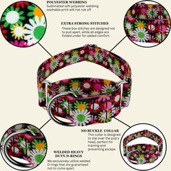 Country Brook Petz HossFit Jr Daisy Fields Wide Martingale Dog Collar, X-Large slide 2 of 9