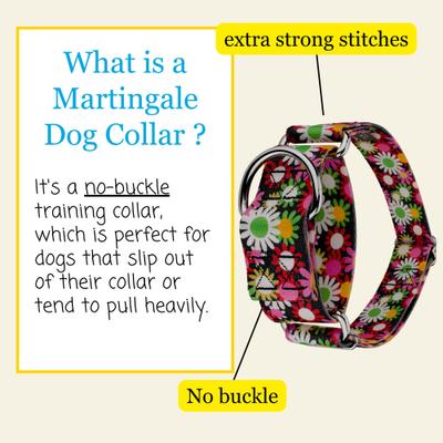 Show full view: Country Brook Petz HossFit Jr Daisy Fields Wide Martingale Dog Collar, Medium slide 6 of 9