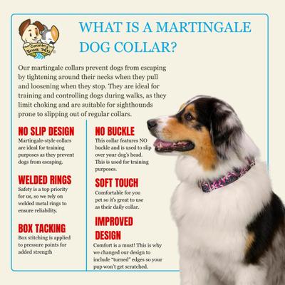 Show full view: Country Brook Petz HossFit Jr Potpourri Wide Martingale Dog Collar, Large slide 5 of 8