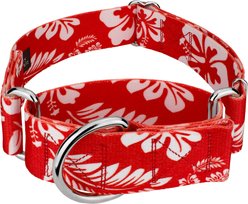 Country Brook Petz HossFit Jr Hawaiian Wide Martingale Dog Collar, Large, Red