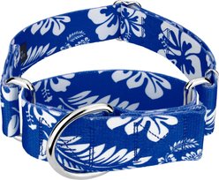 Country Brook Petz HossFit Jr Hawaiian Wide Martingale Dog Collar, X-Large, Royal Blue