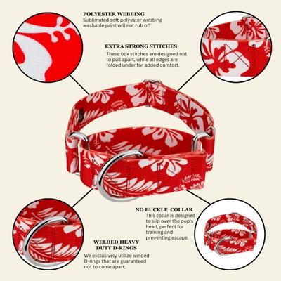 Show full view: Country Brook Petz HossFit Jr Hawaiian Wide Martingale Dog Collar, Large, Red slide 8 of 10
