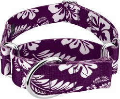 Country Brook Petz HossFit Jr Hawaiian Wide Martingale Dog Collar, Purple, Medium
