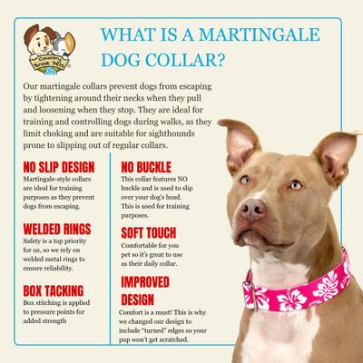 Show full view: Country Brook Petz HossFit Jr Hawaiian Wide Martingale Dog Collar, Pink, Medium slide 8 of 10