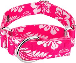 Country Brook Petz HossFit Jr Hawaiian Wide Martingale Dog Collar, Pink, Medium