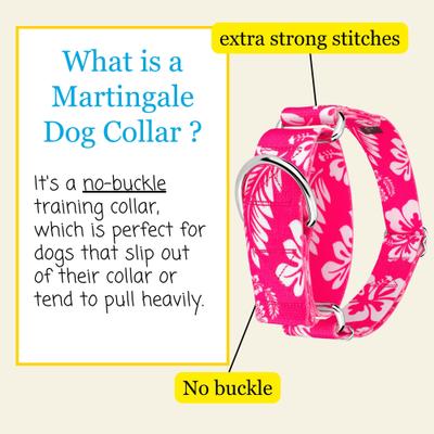 Show full view: Country Brook Petz HossFit Jr Hawaiian Wide Martingale Dog Collar, Pink, Medium slide 6 of 10