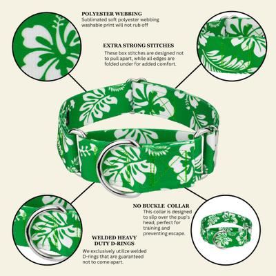 Show full view: Country Brook Petz HossFit Jr Hawaiian Wide Martingale Dog Collar, Large, Kelly Green slide 6 of 9