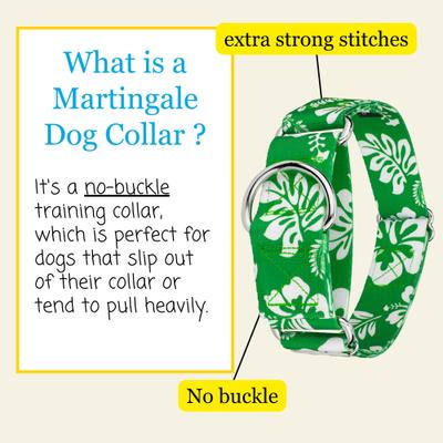 Show full view: Country Brook Petz HossFit Jr Hawaiian Wide Martingale Dog Collar, Large, Kelly Green slide 3 of 9