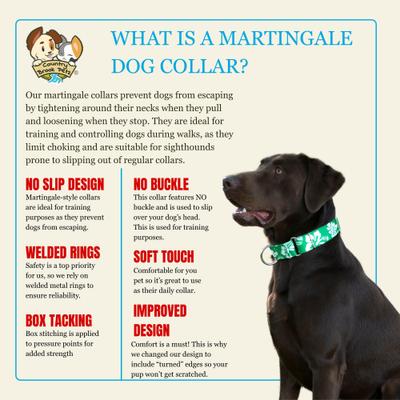 Show full view: Country Brook Petz HossFit Jr Hawaiian Wide Martingale Dog Collar, Large, Kelly Green slide 5 of 9