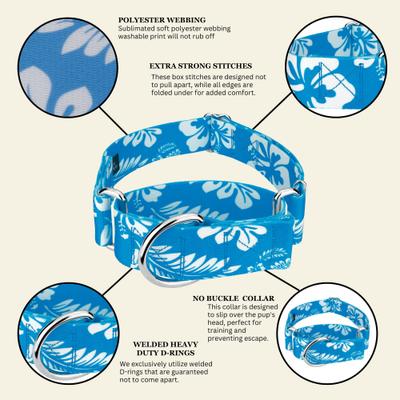 Show full view: Country Brook Petz HossFit Jr Hawaiian Wide Martingale Dog Collar, Large, Blue slide 6 of 9