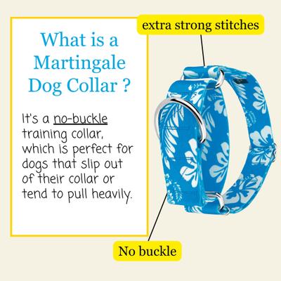 Show full view: Country Brook Petz HossFit Jr Hawaiian Wide Martingale Dog Collar, Large, Blue slide 3 of 9