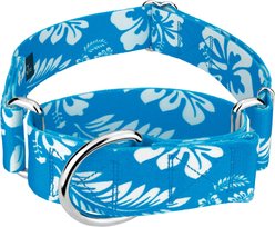 Country Brook Petz HossFit Jr Hawaiian Wide Martingale Dog Collar, Large, Blue