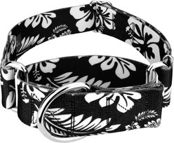 Country Brook Petz HossFit Jr Hawaiian Wide Martingale Dog Collar, Black, Large