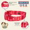Show in main carousel: Country Brook Petz HossFit Jr Anchors Away Wide Martingale Dog Collar, Red, X-Large: 23 to 31-in neck, 1.5-in wide slide 7 of 8