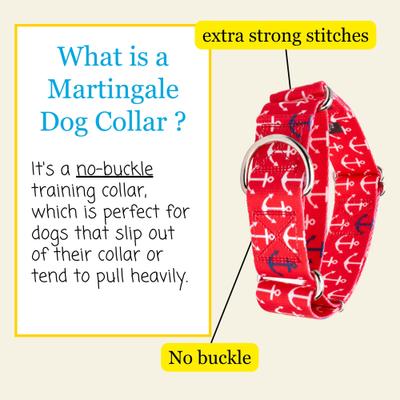 Show full view: Country Brook Petz HossFit Jr Anchors Away Wide Martingale Dog Collar, Red, X-Large: 23 to 31-in neck, 1.5-in wide slide 3 of 8