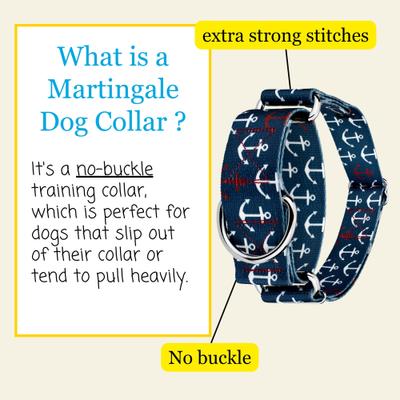 Show full view: Country Brook Petz HossFit Jr Anchors Away Wide Martingale Dog Collar, X-Large slide 3 of 8
