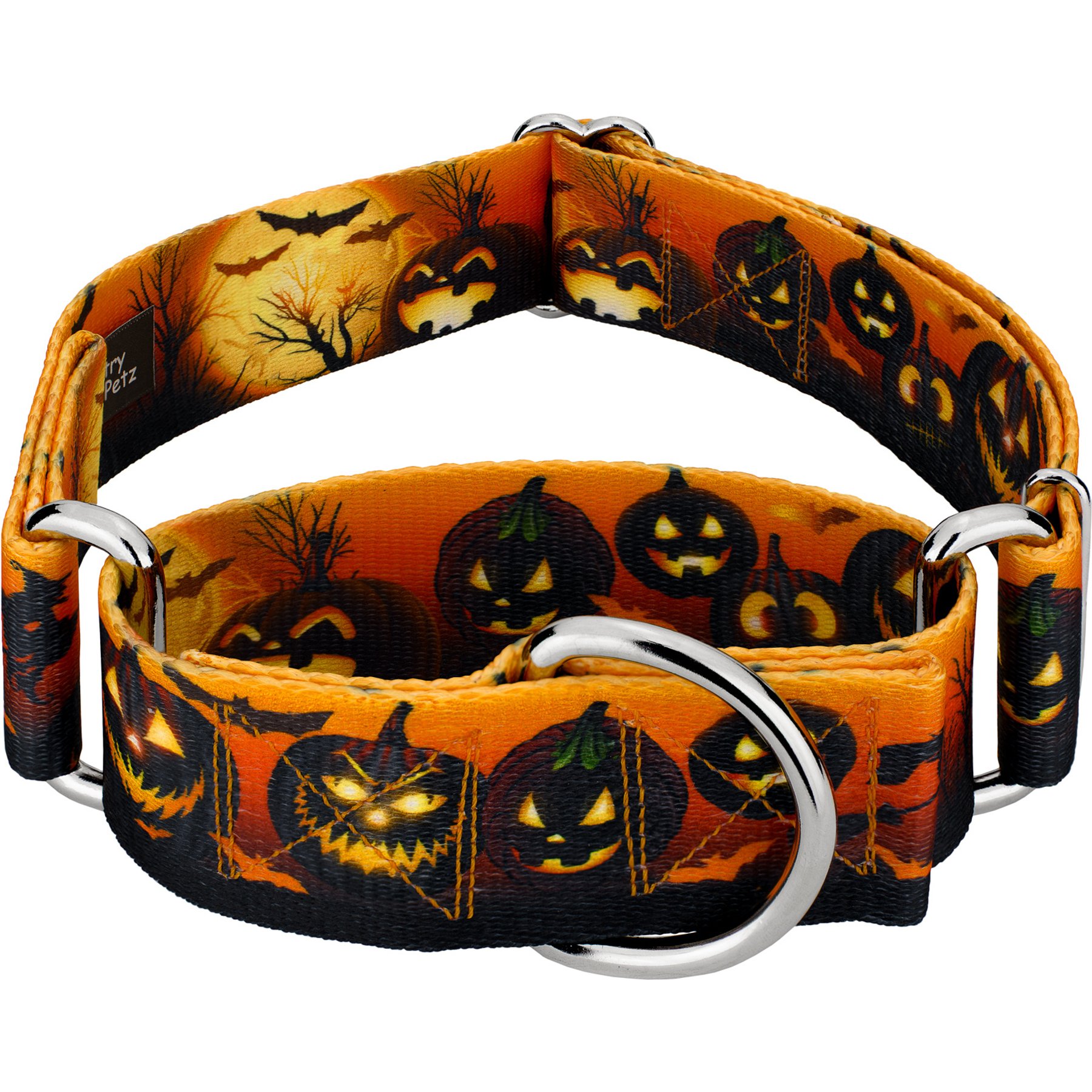 Country Brook Petz HossFit Jr Midnight Fright Wide Martingale Dog Collar, Orange, Large: 18 to 26-in neck, 1.5-in wide