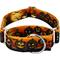 Show in main carousel: Country Brook Petz HossFit Jr Midnight Fright Wide Martingale Dog Collar, Orange, Large: 18 to 26-in neck, 1.5-in wide slide 1 of 8