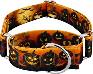 Country Brook Petz HossFit Jr Midnight Fright Wide Martingale Dog Collar, Orange, Medium: 15 to 21-in neck, 1.5-in...