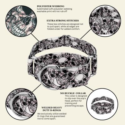 Show full view: Country Brook Petz HossFit Jr Phantom Skulls Wide Martingale Dog Collar, Medium slide 7 of 9
