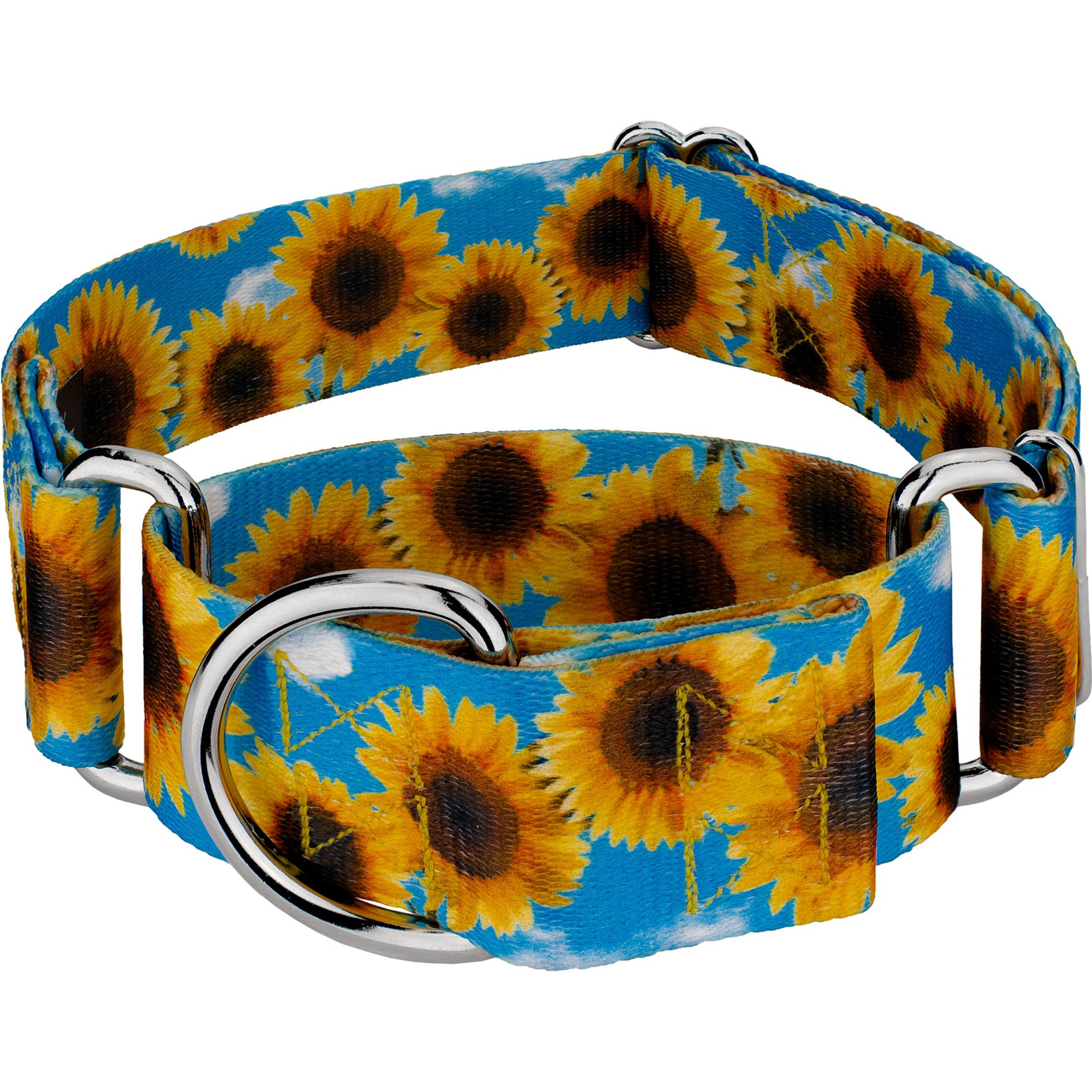 Country Brook Petz HossFit Jr Sunflowers Wide Martingale Dog Collar, Yellow, X-Large: 23 to 31-in neck, 1.5-in wide
