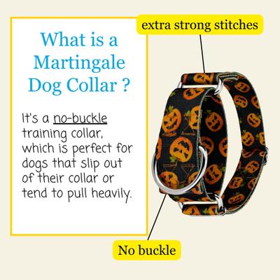 Show full view: Country Brook Petz HossFit Jr Happy Jack Wide Martingale Dog Collar, Medium slide 6 of 10