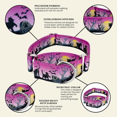 Show full view: Country Brook Petz HossFit Jr Graveyard Wide Martingale Dog Collar, Medium slide 7 of 9