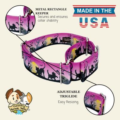 Show full view: Country Brook Petz HossFit Jr Graveyard Wide Martingale Dog Collar, Medium slide 8 of 9