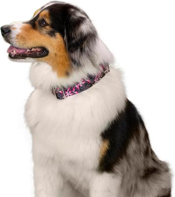 Show full view: Country Brook Petz HossFit Jr Pink Honeysuckle Breeze Wide Martingale Dog Collar, Black, X-Large: 23 to 31-in neck, 1.5-in wide slide 3 of 9