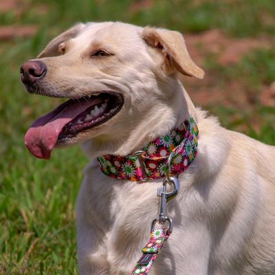 Show full view: Country Brook Petz HossFit Jr Daisy Fields Wide Martingale Dog Collar, Medium slide 3 of 9