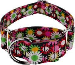 Country Brook Petz HossFit Jr Daisy Fields Wide Martingale Dog Collar, X-Large slide 1 of 9