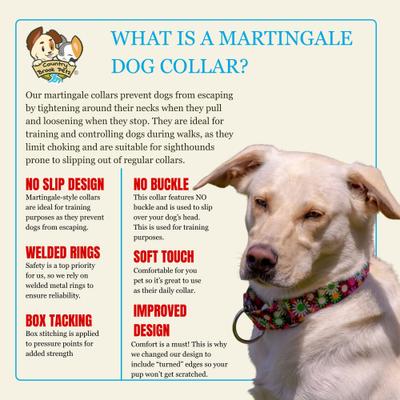 Show full view: Country Brook Petz HossFit Jr Daisy Fields Wide Martingale Dog Collar, Medium slide 8 of 9