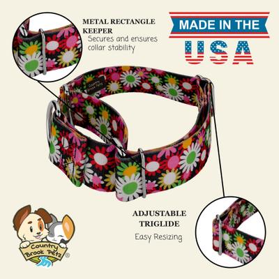 Show full view: Country Brook Petz HossFit Jr Daisy Fields Wide Martingale Dog Collar, Medium slide 2 of 9