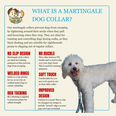 Show full view: Country Brook Petz HossFit Jr Wide Martingale Dog Collar, Mountain Viper, X-Large slide 8 of 9