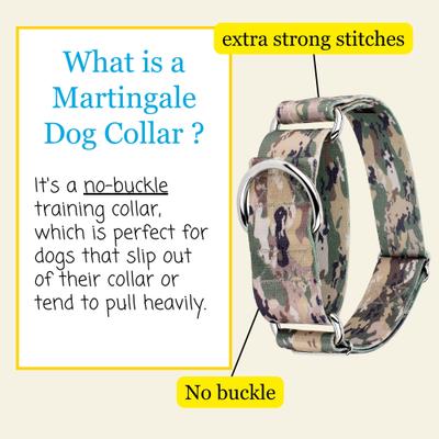 Show full view: Country Brook Petz HossFit Jr Wide Martingale Dog Collar, Mountain Viper, X-Large slide 6 of 9