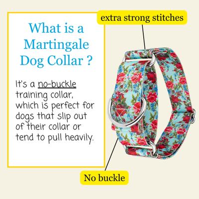Show full view: Country Brook Petz HossFit Jr Vintage Roses Wide Martingale Dog Collar, Medium slide 4 of 9