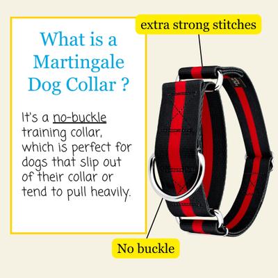Show full view: Country Brook Petz HossFit Jr Thin Red Line Wide Martingale Dog Collar, X-Large slide 7 of 10