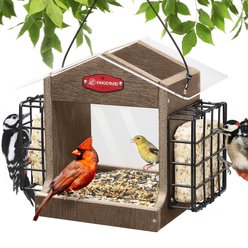 Kingsyard Recycled Plastic Double Suet Wild Bird Feeder, Brown