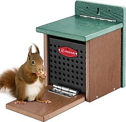 Kingsyard Recycled Plastic Squirrel Feeder, Green