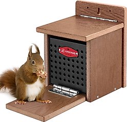 Kingsyard Recycled Plastic Squirrel Feeder, Brown