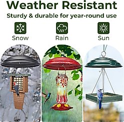 Kingsyard Metal Weather Protective Dome for Bird Soda Bottle Feeder, Black slide 2 of 8