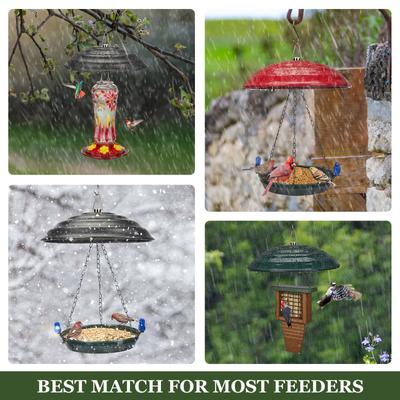 Show full view: Kingsyard Metal Weather Protective Dome for Bird Soda Bottle Feeder, Black slide 5 of 9