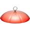 Show in main carousel: Kingsyard Plastic Weather Protective Dome Cover for Bird Tube Feeder, Red slide 1 of 7