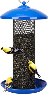 Show full view: Kingsyard Heavy Duty Metal Mesh Bird Tube Feeder, Blue slide 6 of 9