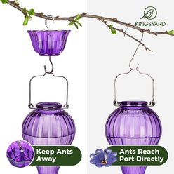 Kingsyard Glass Hummingbird Soda Bottle Feeder, Purple slide 2 of 7