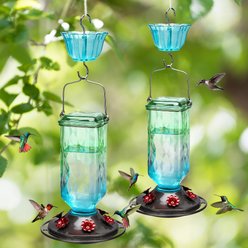 Kingsyard Glass Hummingbird Soda Bottle Feeder, Green, Blue & Red, 2 count