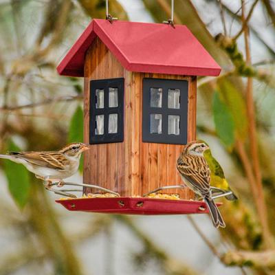 Show full view: Kingsyard Small Bird House Bird Hopper Feeder, Black & Red slide 6 of 8