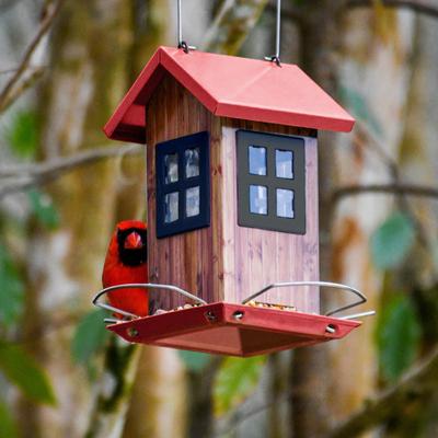 Show full view: Kingsyard Small Bird House Bird Hopper Feeder, Black & Red slide 5 of 8