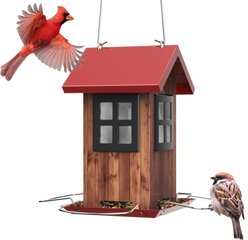 Kingsyard Small Bird House Bird Hopper Feeder, Black & Red